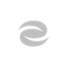Client 31